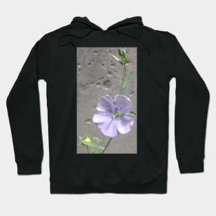 Unexpected Beauty Hoodie